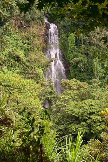 Cascada la granada en Coatepec