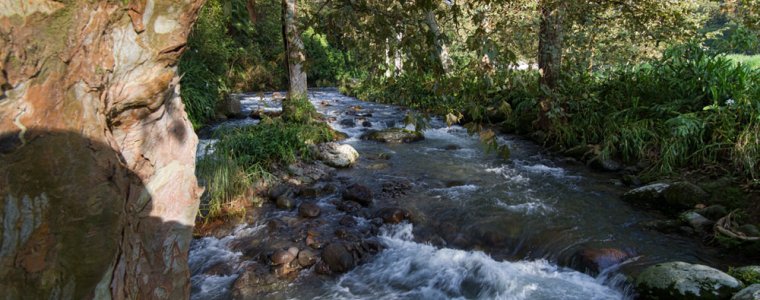 Rio en Coatepec, Veracruz