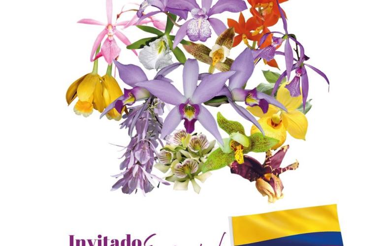 Festival de la orquidea en Coatepec