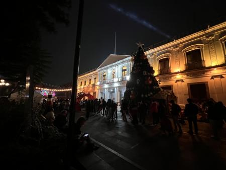 Arbol navidad de Coatepec